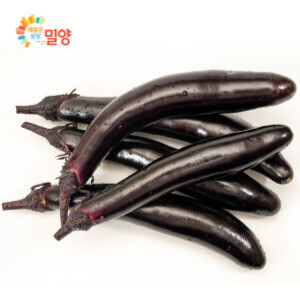 해맑은상상 밀양팜,[bulk] 가지 10kg,{밀양물산 주식회사}