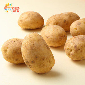 해맑은상상 밀양팜,[bulk] 감자 20kg,{밀양물산 주식회사}