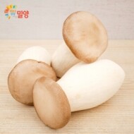 [bulk] 새송이버섯 10kg