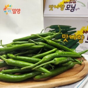 해맑은상상 밀양팜,[bulk] 모닝고추 10kg,{밀양물산 주식회사}