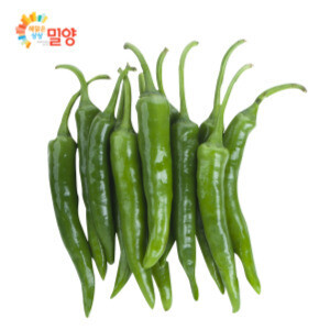 해맑은상상 밀양팜,[bulk] 청양고추 10kg,{밀양물산 주식회사}