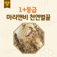마리앤비 친환경 야생화 꿀 천연 벌꿀 (대량구매, 30개 이상 주문가능)