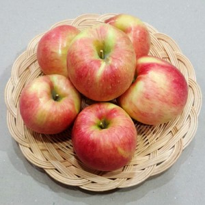 2023년 햇사과 밀양 얼음골 사과 (품종:홍로) 5kg