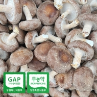 송옥농장 무농약 생 표고 버섯 1kg,2kg