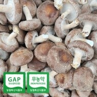 ★임산부친환경농산물꾸러미★송옥농장 무농약 생 표고 버섯 1kg,2kg