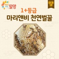 ★추석선물예약판매★마리앤비 해맑은상상 친환경 아카시아꿀(2.4kg 구매시 꿀스틱10개 증정)/9월 2일부터 순차출고