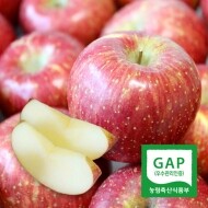 진짜 겨울 얼음골사과 10kg(흠과)