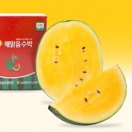 [출시기념 할인] 속이 노란 고당도 해맑음 미니 망고수박