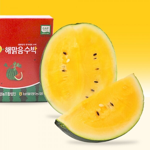 [예약주문] 속이 노란 고당도 해맑음 미니 망고수박 (5월 12일부터 순차발송)