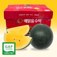 [출시기념 할인] 속이 노란 고당도 해맑음 미니 망고수박 2구