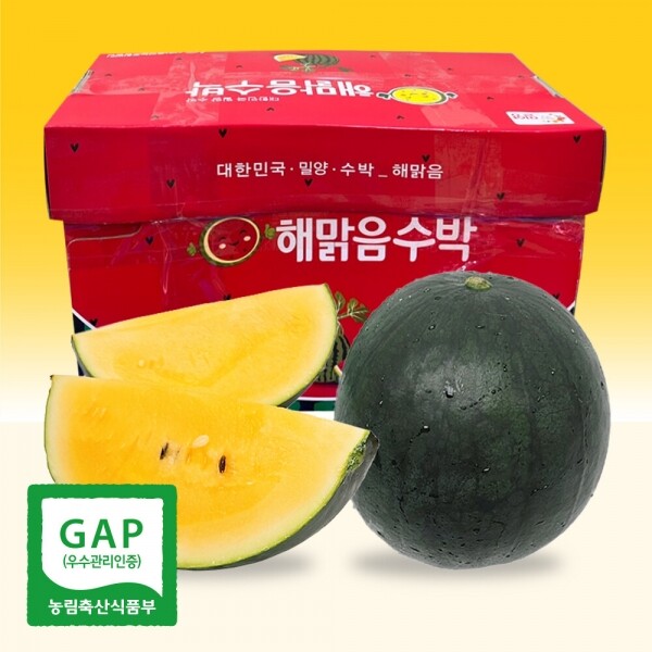 [출시기념 할인] 속이 노란 고당도 해맑음 미니 망고수박 2구