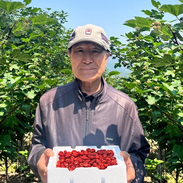 해맑은상상 밀양팜,산에서 자란 산딸기 생과 500g (특사이즈) / 5월 28일 순차출고,{밀양물산 주식회사}