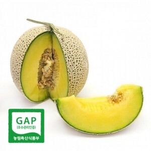 [예약판매] 당도보장 달콤한 국산 머스크 멜론 (8kg)/7월 28일부터 순차출고