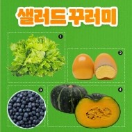 밀양팜 7월 농산물 꾸러미 ( A 샐러드꾸러미 세트 )