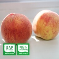 올해 첫 복숭아 고당도 프리미엄 그린황도 2.5kg/금황황도 3kg