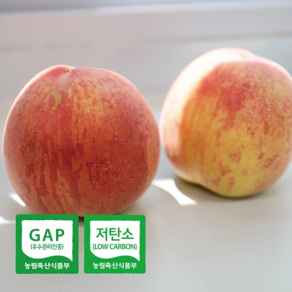 올해 첫 복숭아 고당도 프리미엄 그린황도 2.5kg/금황황도 3kg