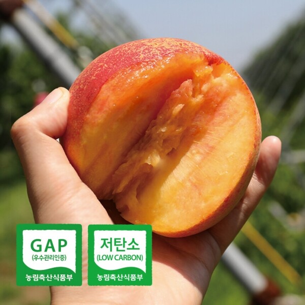 올해 첫 복숭아 고당도 프리미엄 그린황도 2.5kg/금황황도 3kg