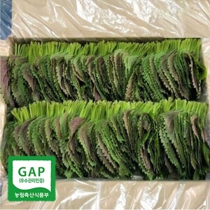 GAP 인증 직접재배 당일수확 밀양깻잎 1박스 (500g/1kg/2kg/3kg)