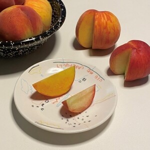 [예약판매] 황도복숭아/백도복숭아 2.5kg 고당도 산지직송