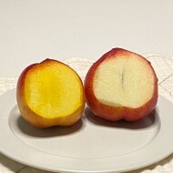 신비복숭아 2kg 고당도 산지직송