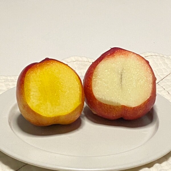 해맑은상상 밀양팜,[예약판매] 신선복숭아 신비복숭아 2kg 고당도 산지직송,{밀양물산 주식회사}