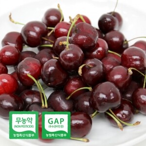 무농약 저탄소 달콤한 친환경 국산 생체리 1kg