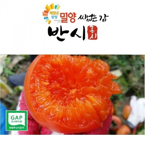 해맑은상상 밀양팜,사르르 녹는 부드러운 씨 없는 밀양 반시 감 5kg,{밀양물산 주식회사}