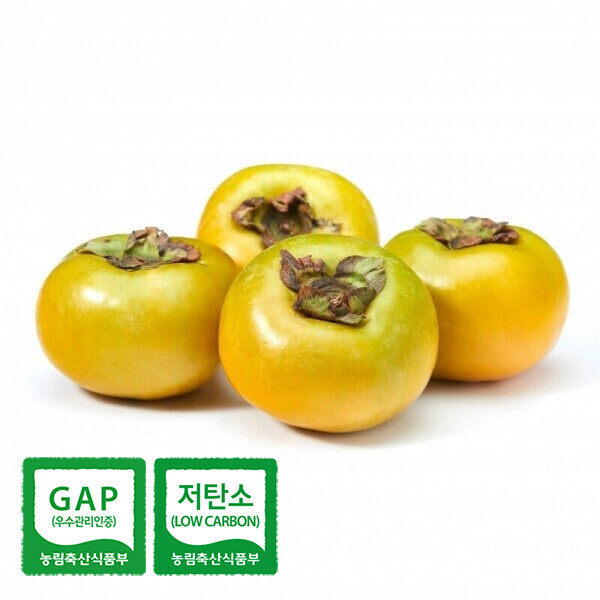 아삭아삭 달콤한 태추 단감 4.5kg